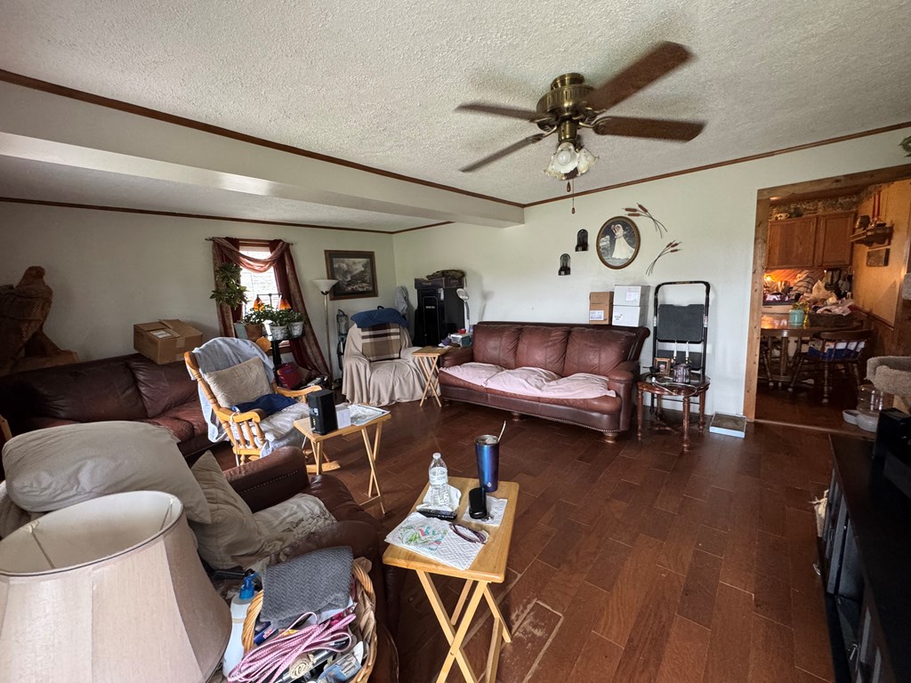 510 Robin Roost Road, Jumping Branch, West Virginia image 3
