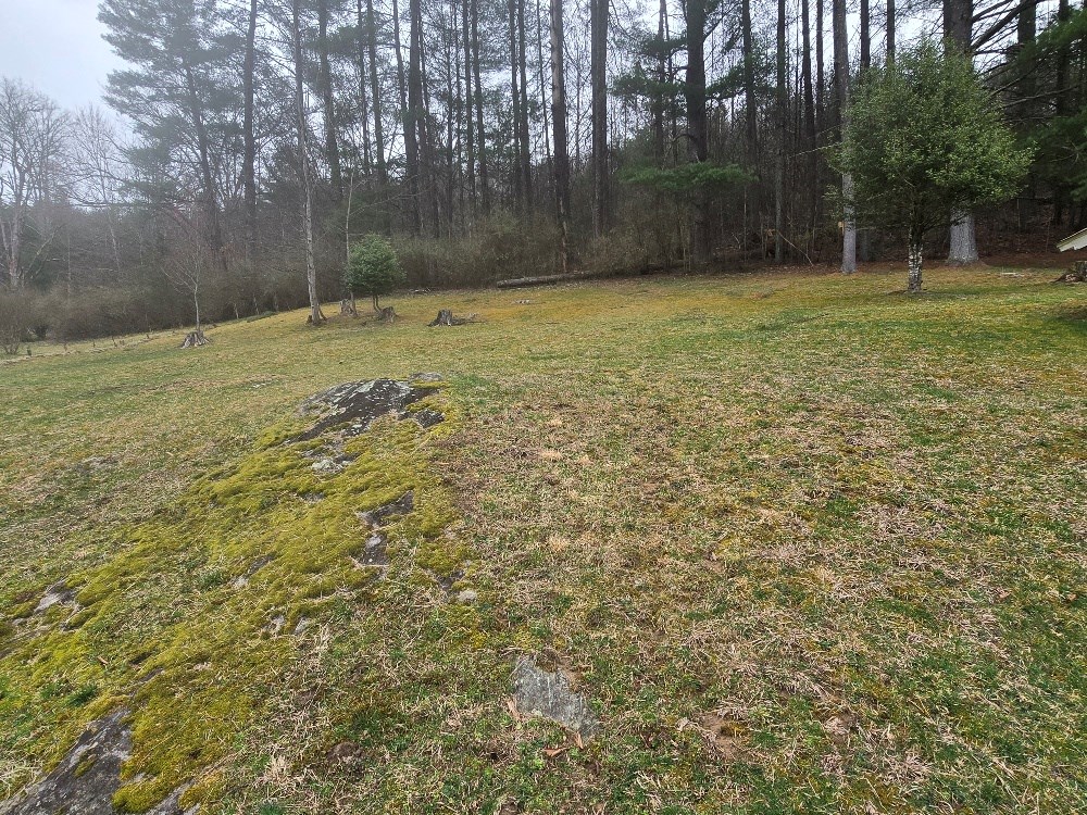 884 Upper Rock Creek Rd, Rock Creek, West Virginia image 11