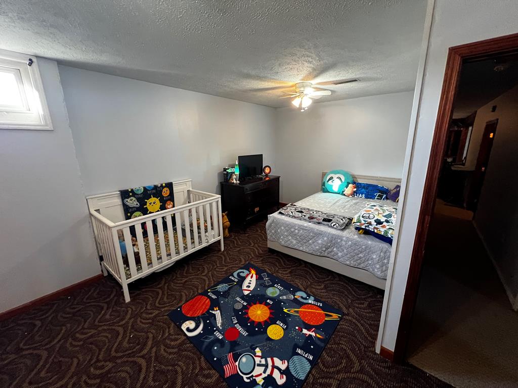 2527 Mt. View Rd, Cool Ridge, West Virginia image 19