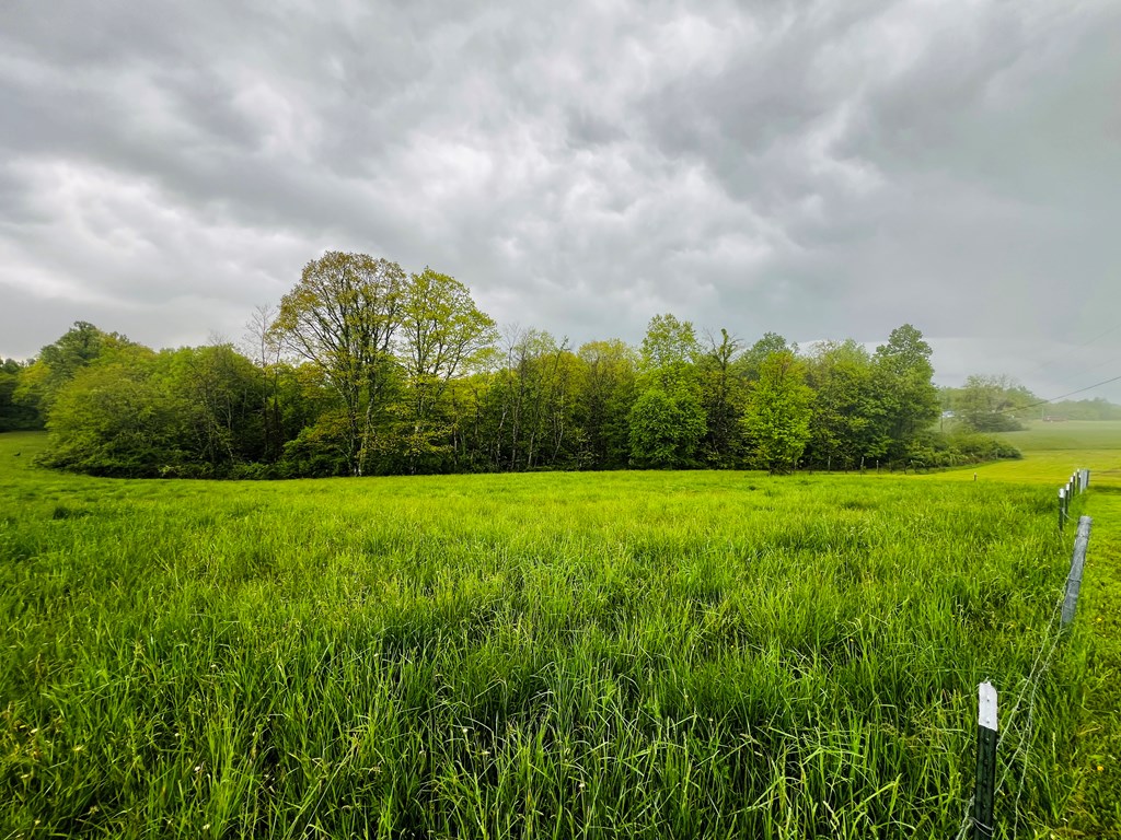 2527 Mt. View Rd, Cool Ridge, West Virginia image 30