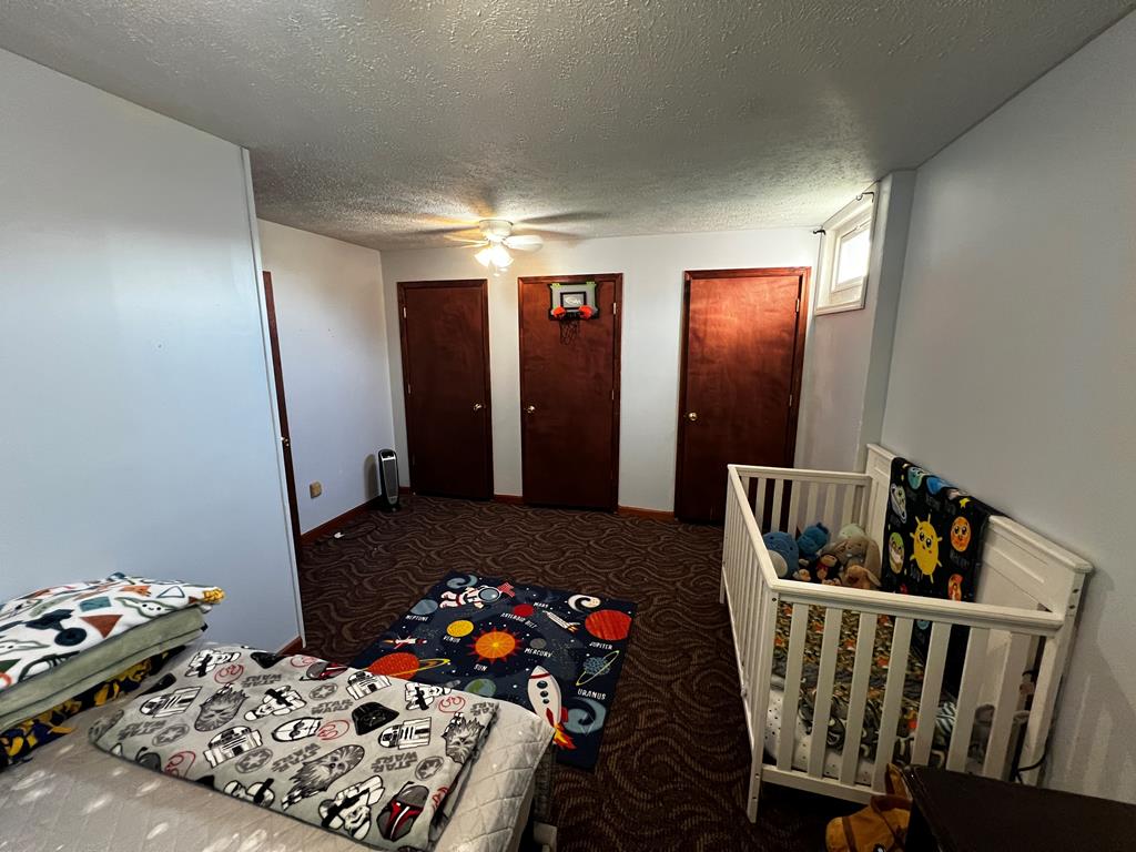 2527 Mt. View Rd, Cool Ridge, West Virginia image 20