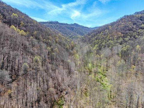 Vacant Land For Sale - Martin Creek Rd<br/> Raleigh County, Naoma, WV 25140
