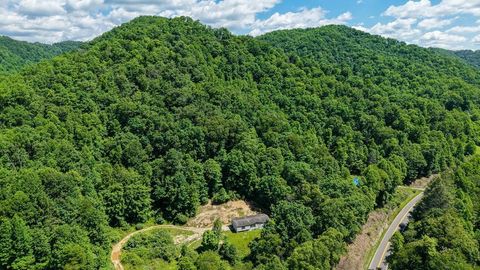 Homes For Sale - 10633 Poplar Gap Road<br/> Ravencliff, WV 25913