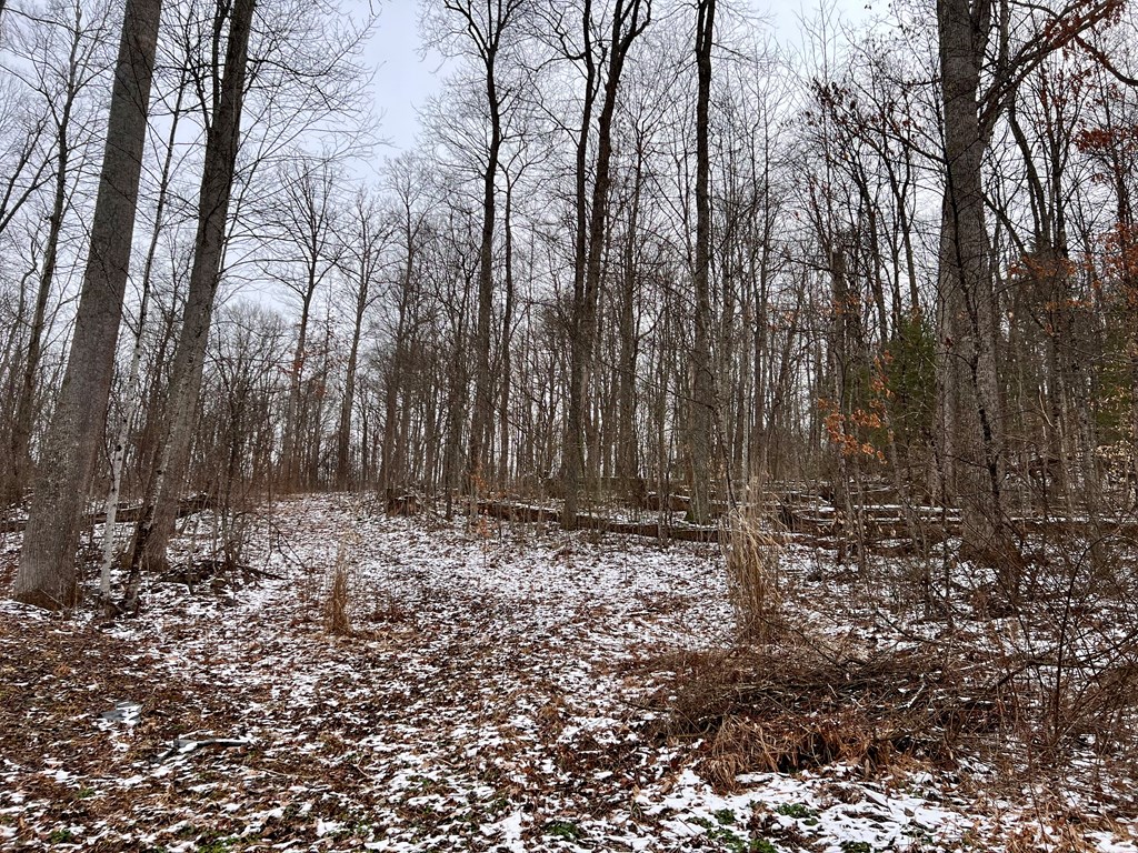 Francis Avenue, Beckley, West Virginia image 4