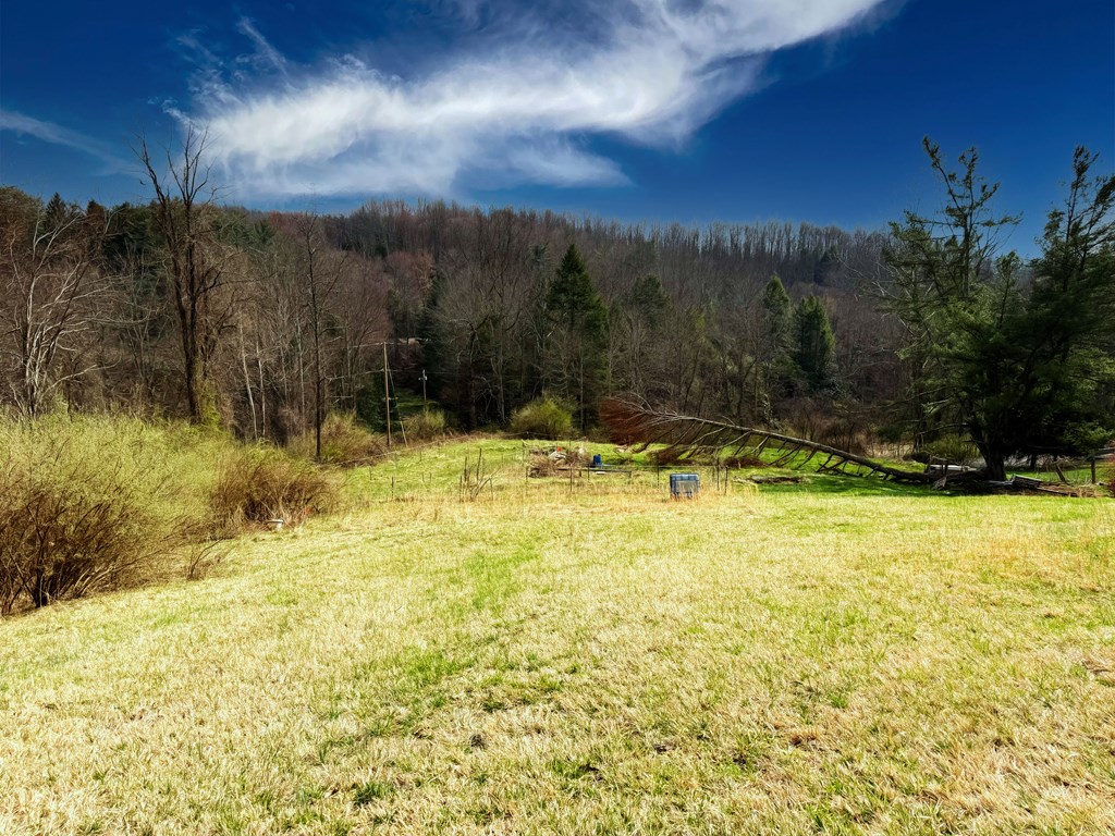 573 Plum Orchard Lake Road, Scarbro, West Virginia image 7