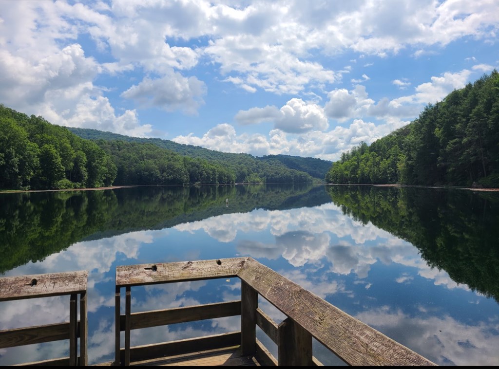 573 Plum Orchard Lake Road, Scarbro, West Virginia image 21