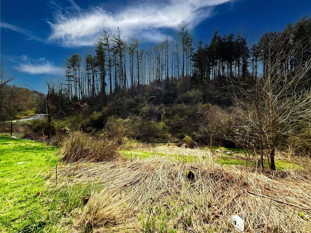 573 Plum Orchard Lake Road, Scarbro, West Virginia image 9