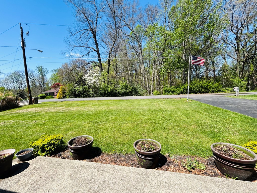 105 Olympia Drive - Photo 4