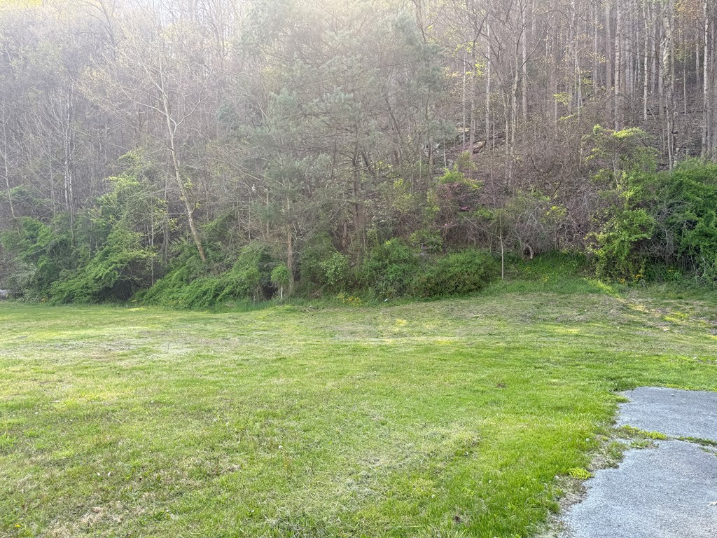 627 Appalachian Highway, Pineville, West Virginia image 3