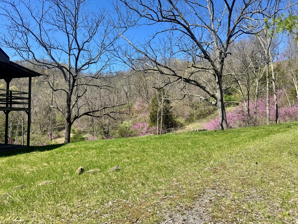1476 Bal Noble Rd, Hinton, West Virginia image 11