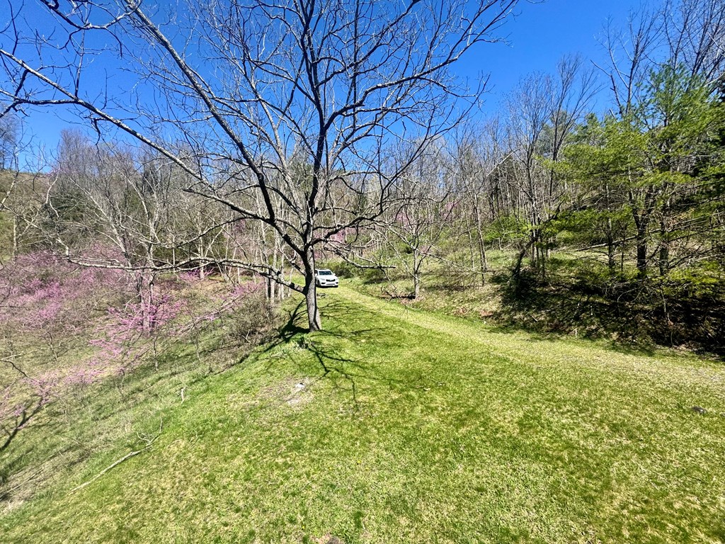 1476 Bal Noble Rd, Hinton, West Virginia image 26