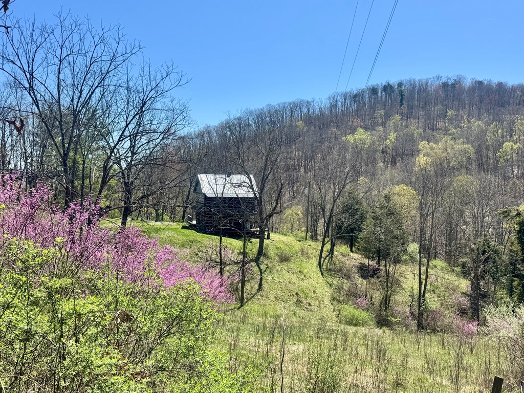 1476 Bal Noble Rd, Hinton, West Virginia image 4