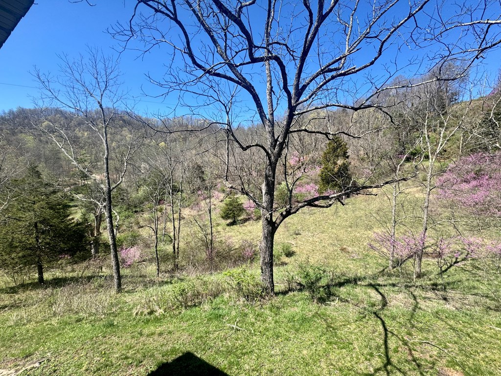 1476 Bal Noble Rd, Hinton, West Virginia image 28