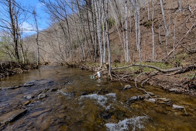000 Little Rich Creek, Rock, West Virginia image 36