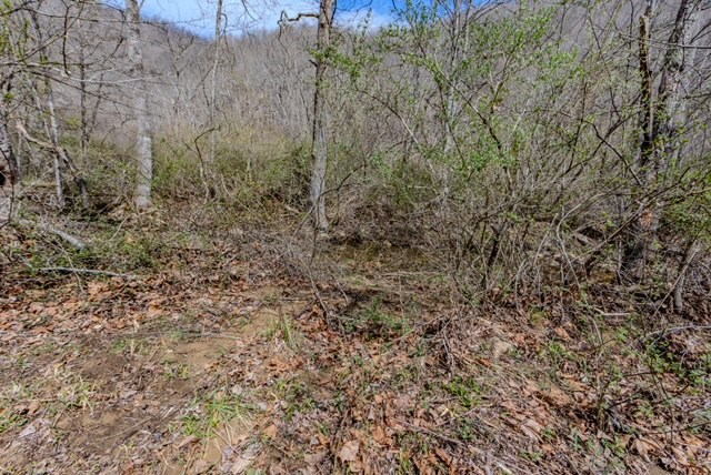 000 Little Rich Creek, Rock, West Virginia image 19
