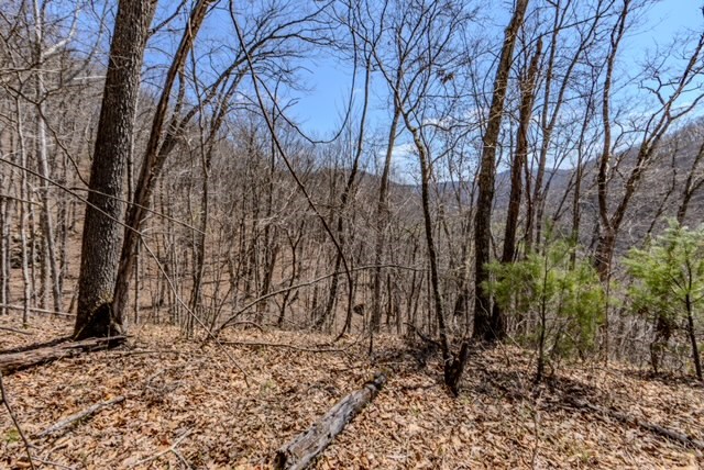 000 Little Rich Creek, Rock, West Virginia image 44