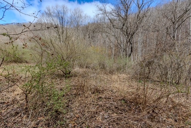 000 Little Rich Creek, Rock, West Virginia image 31