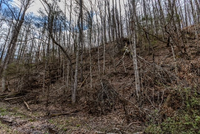 000 Little Rich Creek, Rock, West Virginia image 7