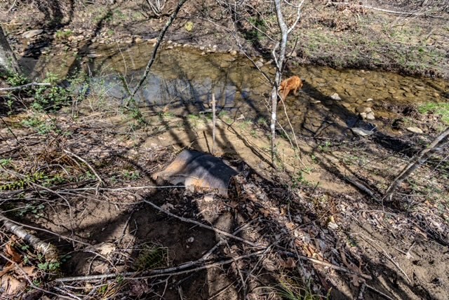 000 Little Rich Creek, Rock, West Virginia image 24