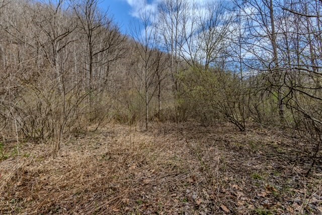 000 Little Rich Creek, Rock, West Virginia image 32