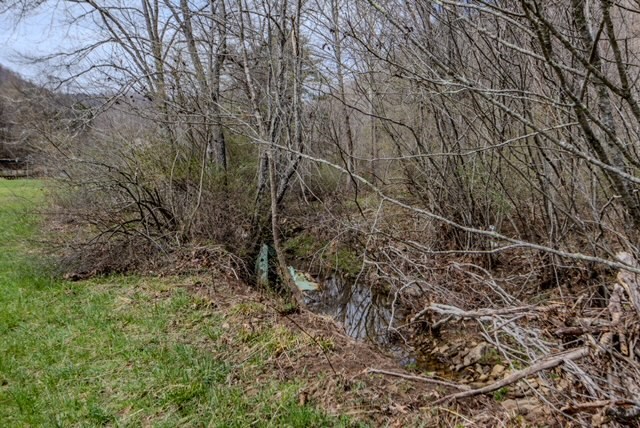 000 Little Rich Creek, Rock, West Virginia image 13
