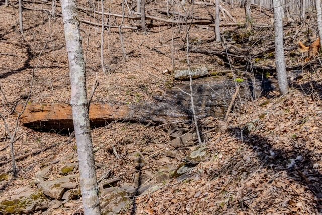 000 Little Rich Creek, Rock, West Virginia image 40
