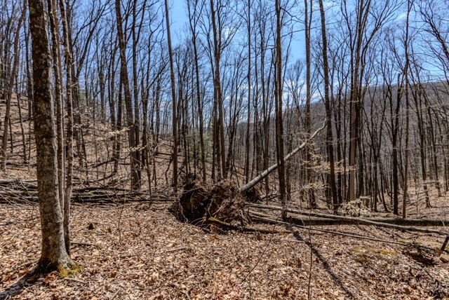 000 Little Rich Creek, Rock, West Virginia image 46