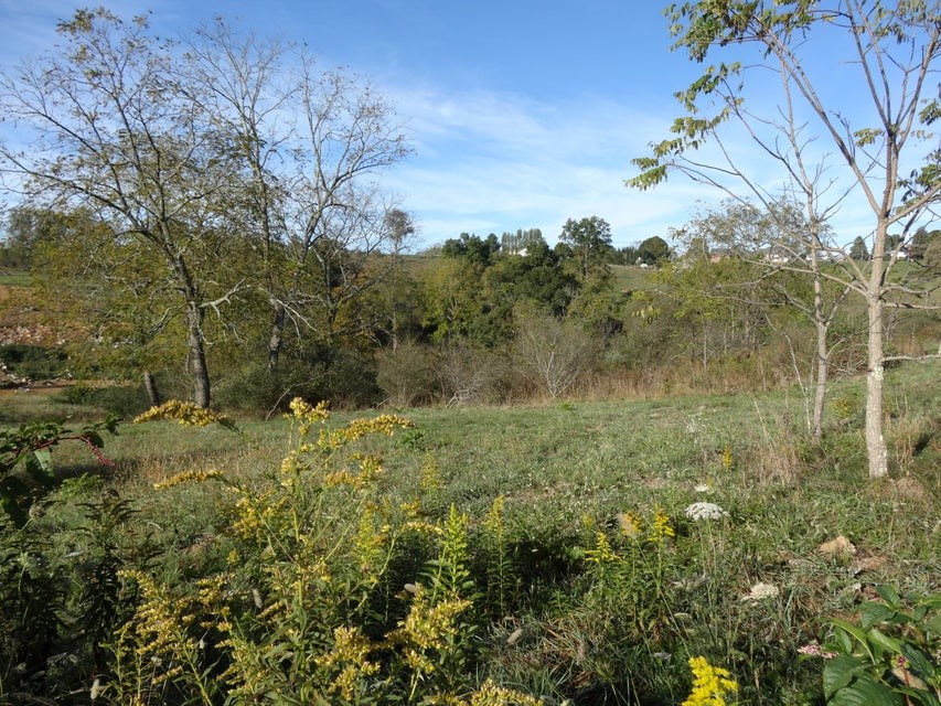 Lot 8 & Bowden Estates Drive #8  9, Maxwelton, West Virginia image 7