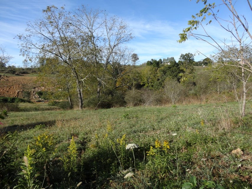 Lot 8 & Bowden Estates Drive #8  9, Maxwelton, West Virginia image 6