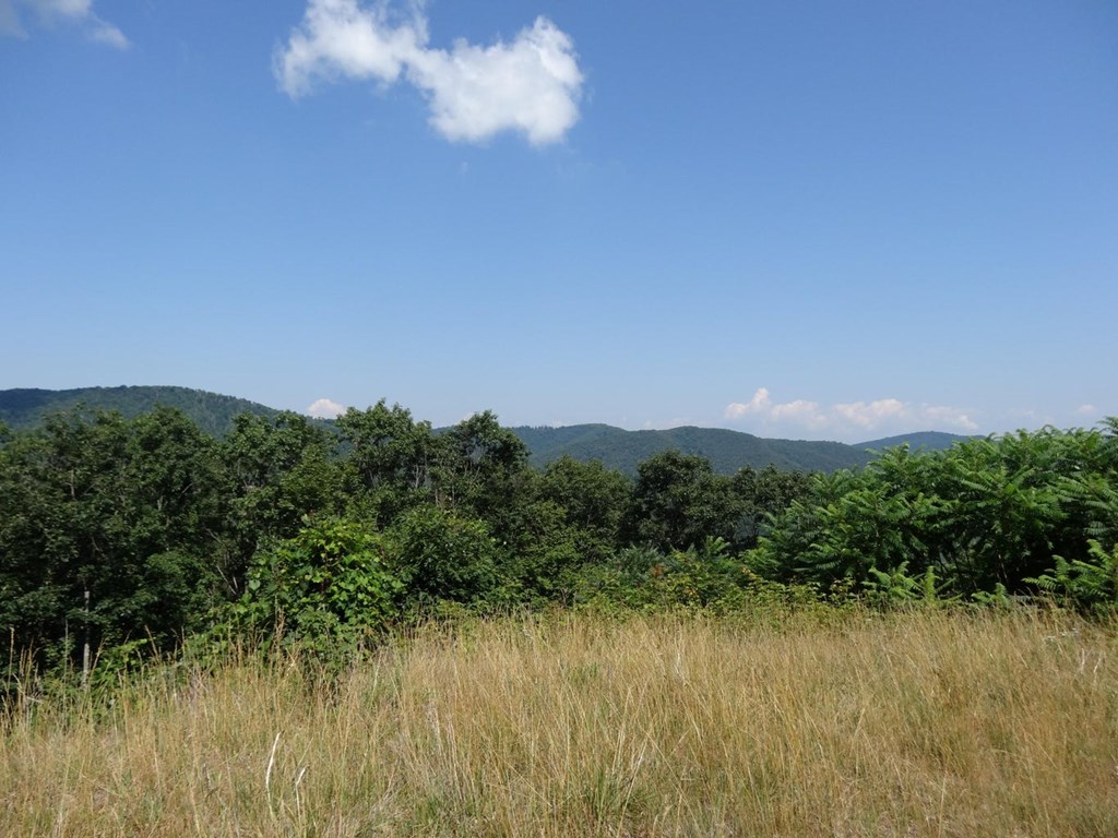 Lot 29 Katy Drive, White Sulphur Springs, West Virginia image 7