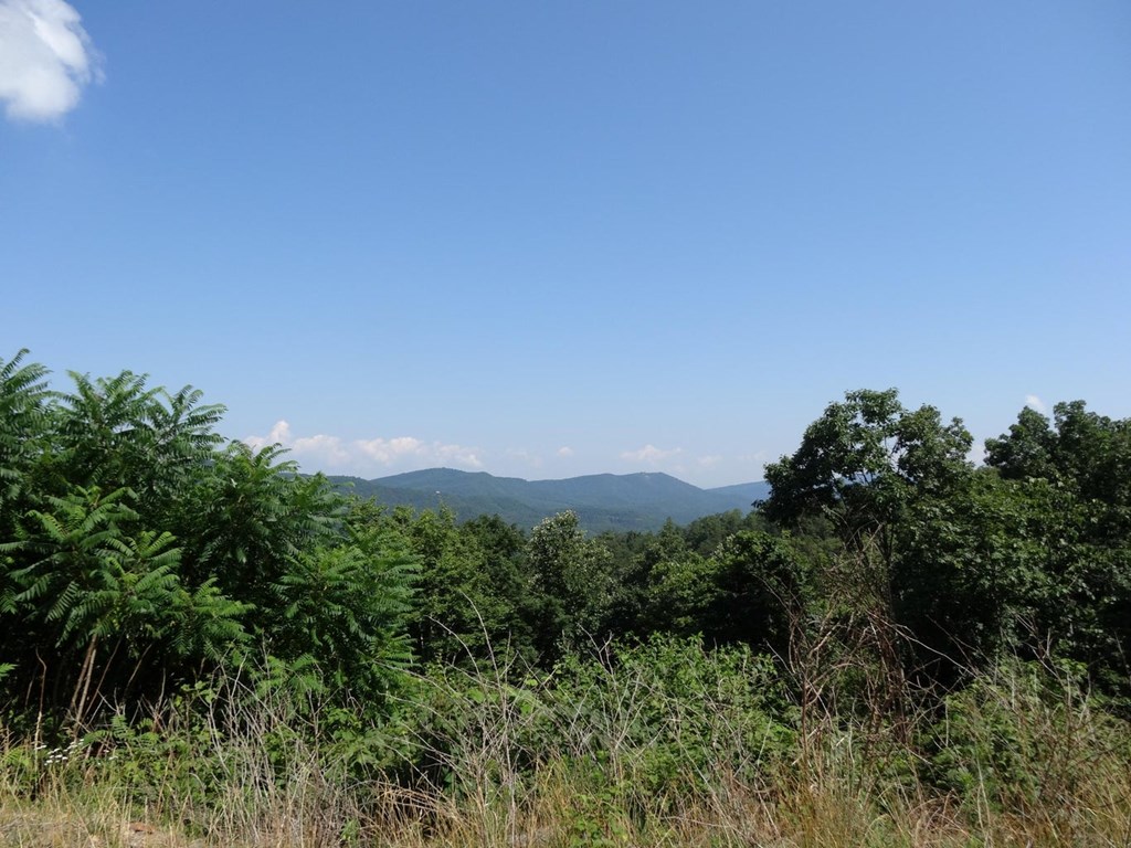 Lot 29 Katy Drive, White Sulphur Springs, West Virginia image 6