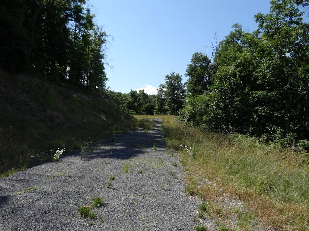 Lot 29 Katy Drive, White Sulphur Springs, West Virginia image 12