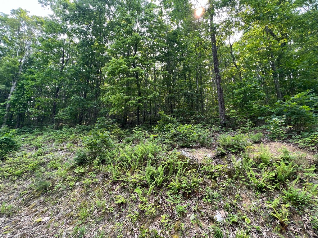 Lot 29 Katy Drive, White Sulphur Springs, West Virginia image 3