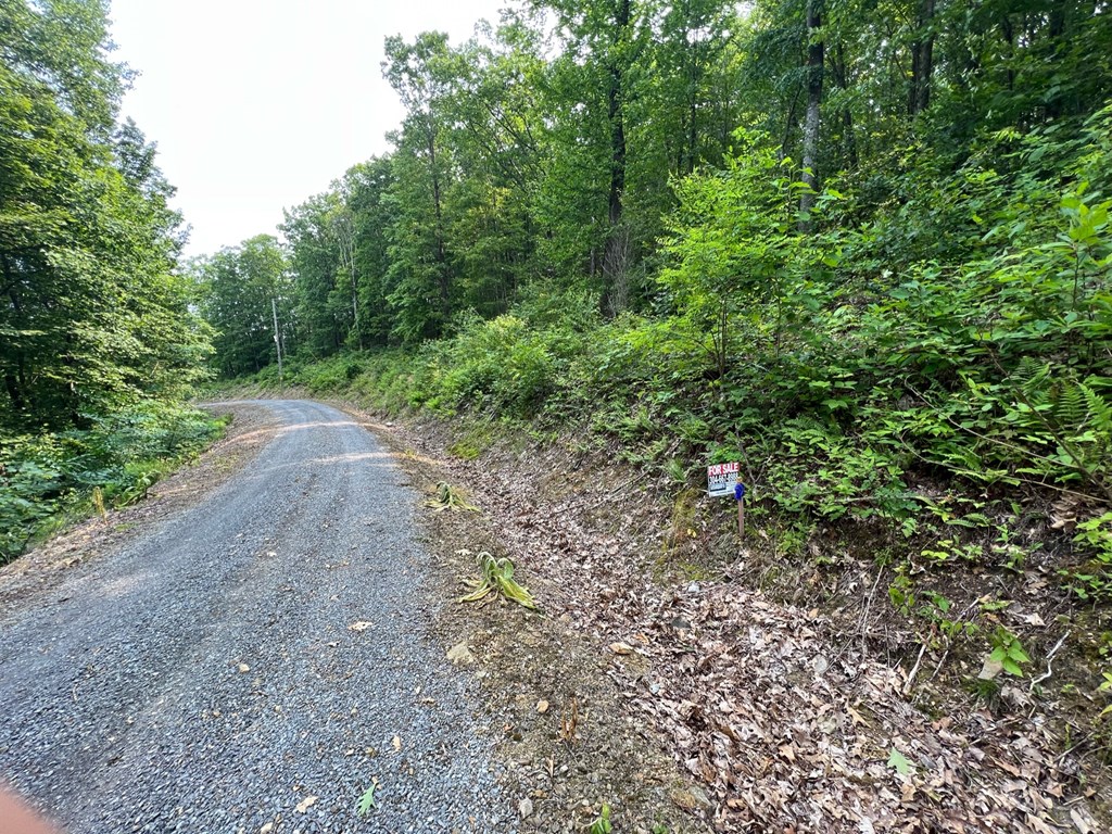 Lot 29 Katy Drive, White Sulphur Springs, West Virginia image 5