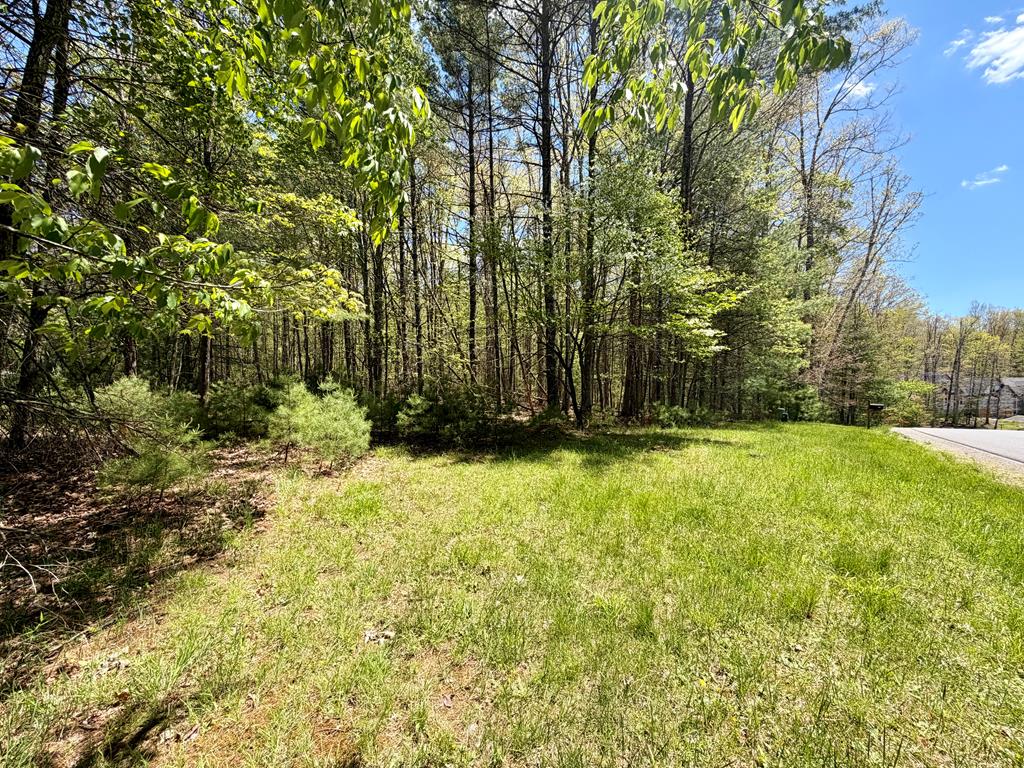 360 Edward Drive 5 - Photo 3