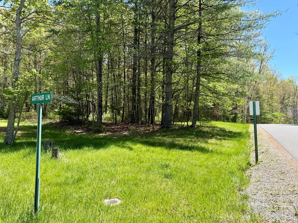360 Edward Drive 5 - Photo 4
