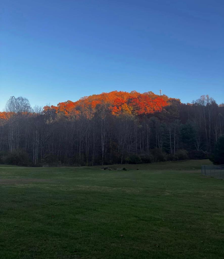 541 Hoo Hoo Hollow, Lester, West Virginia image 23