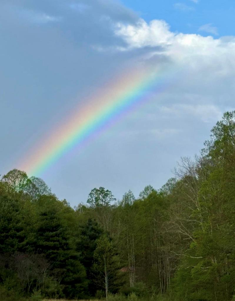 541 Hoo Hoo Hollow, Lester, West Virginia image 24