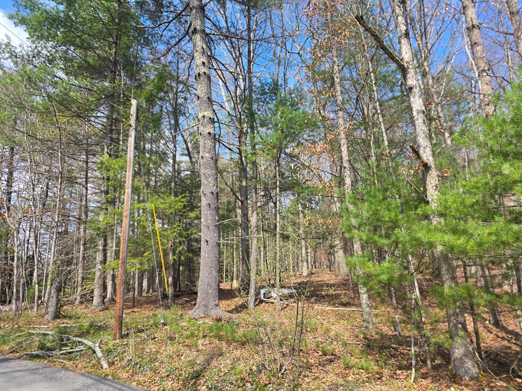 129 Hughes Road, Daniels, West Virginia image 7