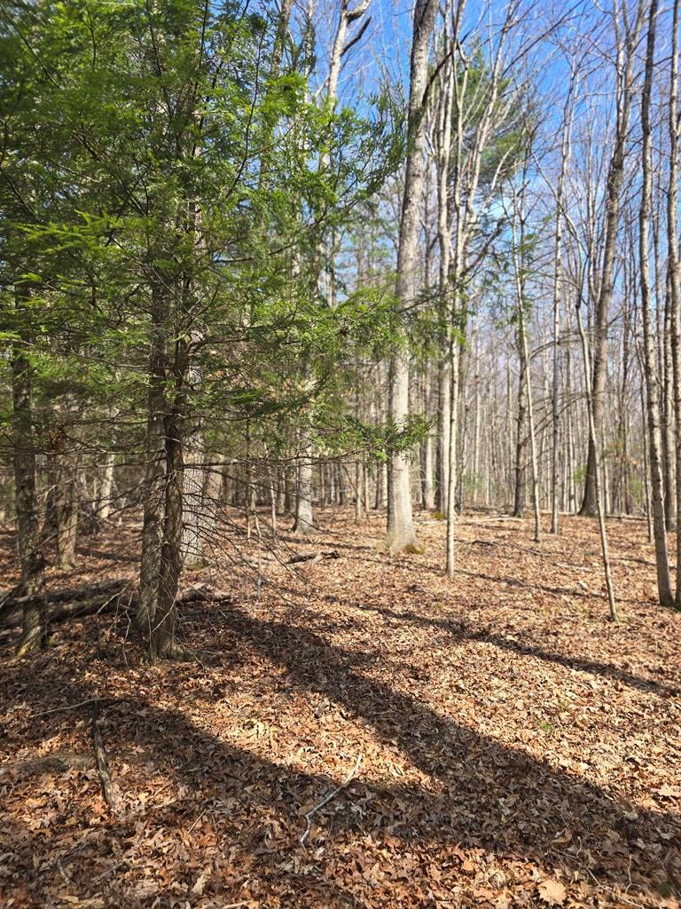 129 Hughes Road, Daniels, West Virginia image 4