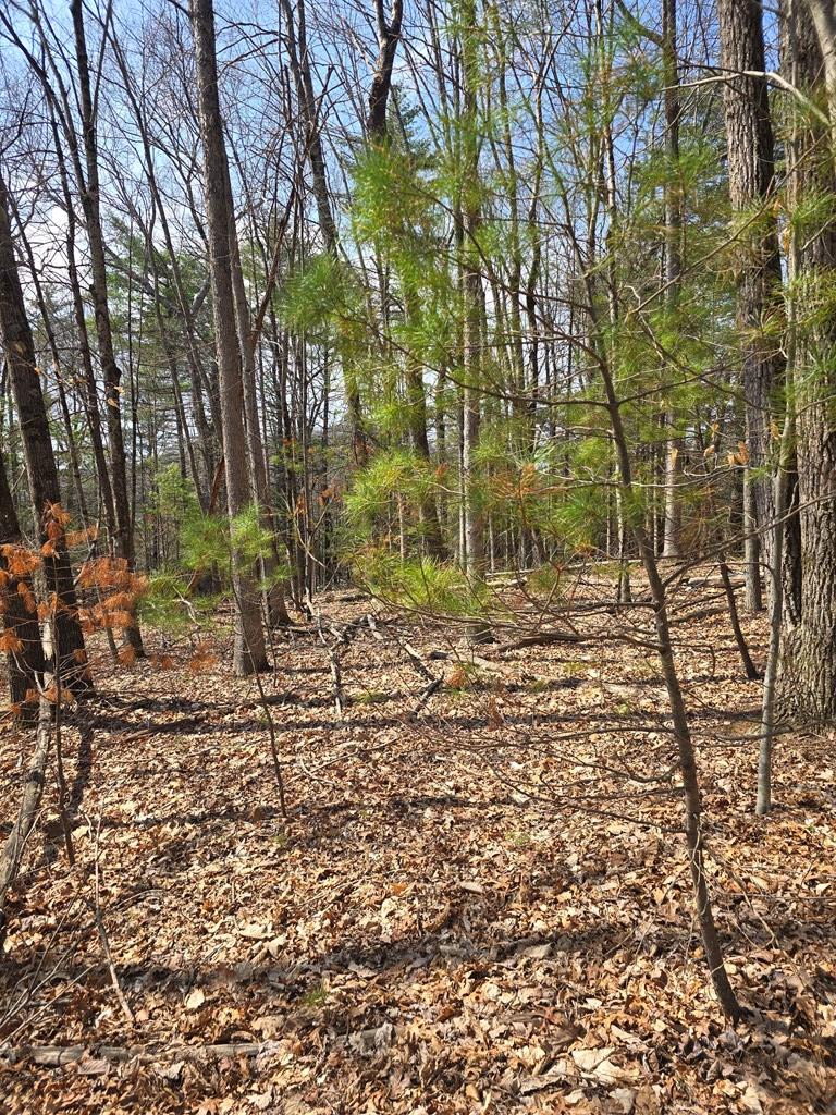 129 Hughes Road, Daniels, West Virginia image 2
