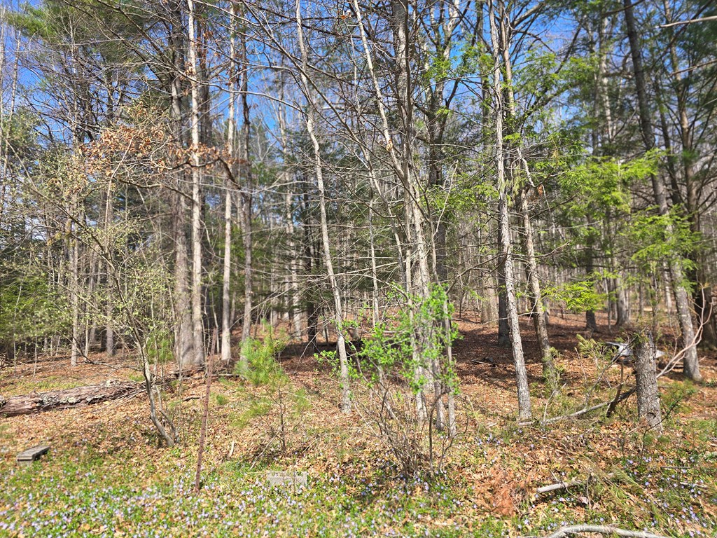 129 Hughes Road, Daniels, West Virginia image 5