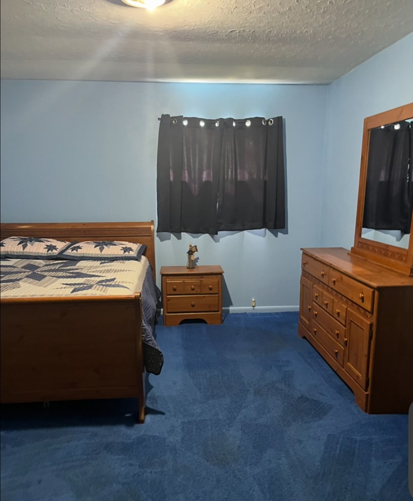 6175 Country Road, Cyclone, West Virginia image 13