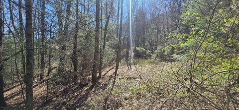 Vacant Land For Sale - 125 Redbud Ln<br/> Raleigh County, Daniels, WV 25832
