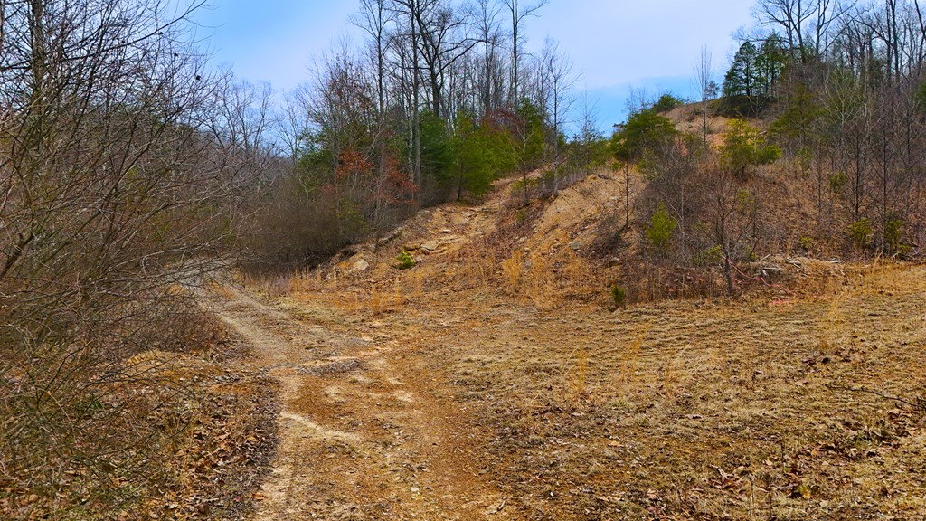 Rolling Hills, Pineville, West Virginia image 8
