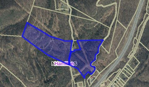 Vacant Land For Sale - 1 Spruce Run Rd<br/> Nicholas County, Summersville, WV 26651