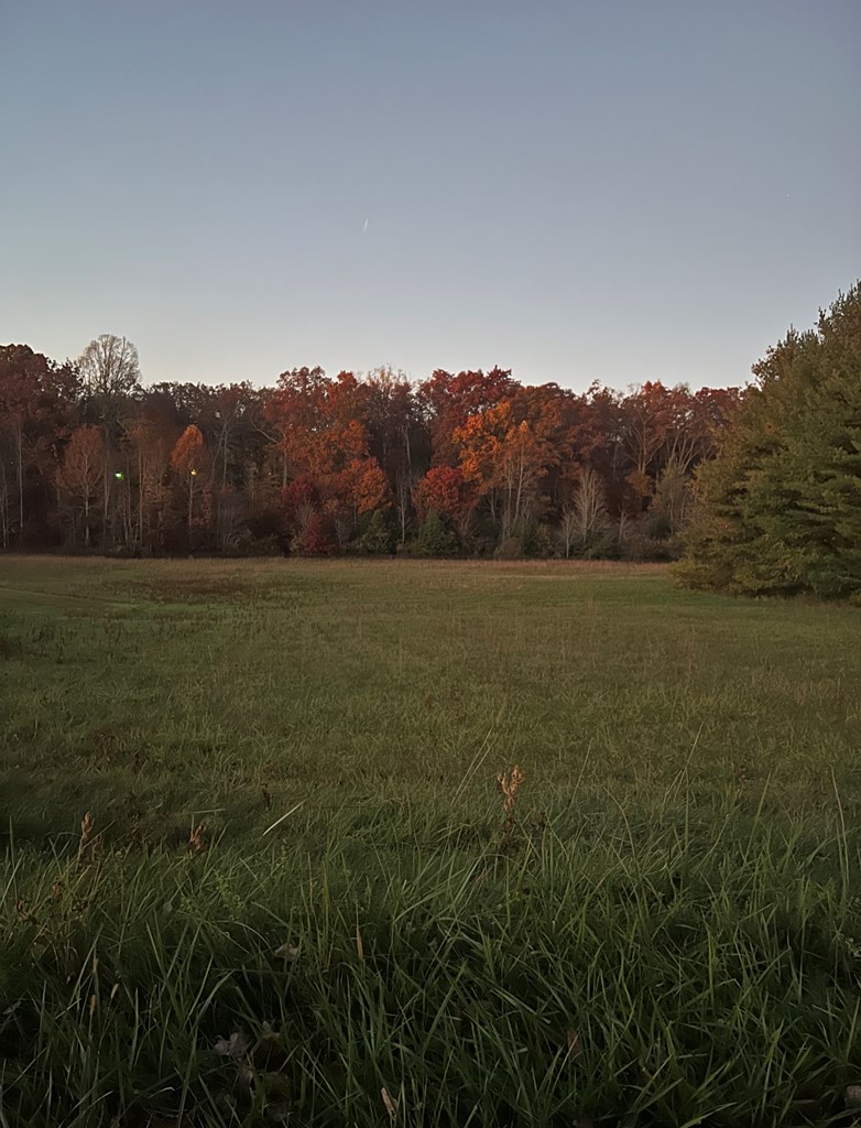 Reedy Addition Road, Craigsville, West Virginia image 5