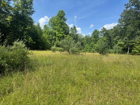 Vacant Land For Sale - 00 Elliott Road<br/> Fayette County, Hico, WV 25854
