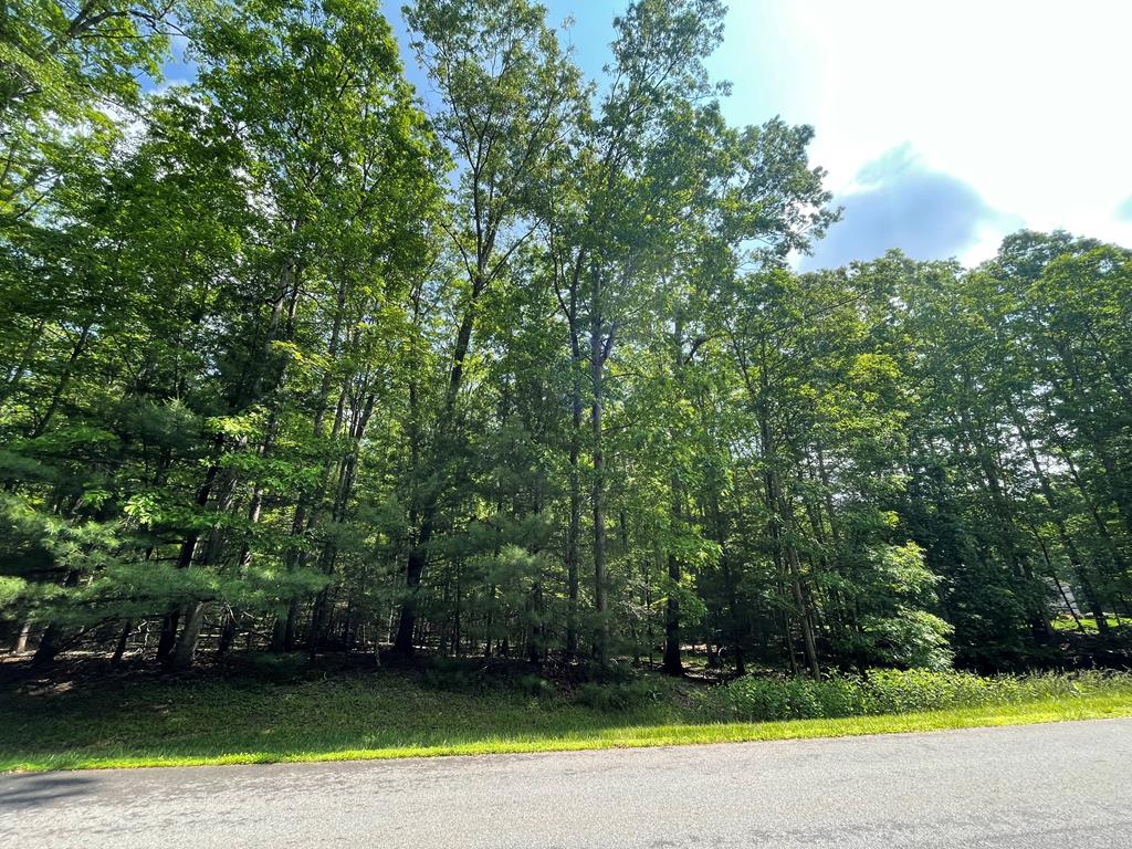 Saddlebrooke Ln, Daniels, West Virginia image 1