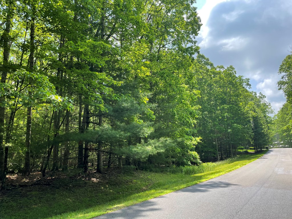 Saddlebrooke Ln, Daniels, West Virginia image 3